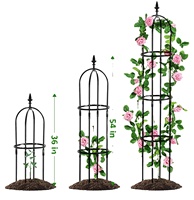 Petit support de treillis en fer en pot pour vignes grimpantes support de rose de fleur en aluminium pour jardin à des fins décoratives vente en gros