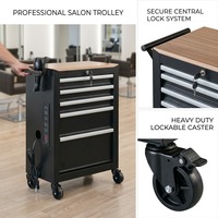 Armoire à outils de salon de coiffure en métal OEM à 5 tiroirs, chariot de rangement roulant avec prise et support pour sèche-cheveux