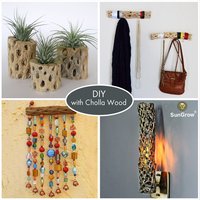Spot de basking en bois de Cholla pour lézards léopards, décoration artistique pour la maison, accessoires pour lézards et dragons barbus, vente en gros