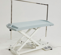 Table de toilettage pour animaux électrique et automatique avec cadre en acier et plateau en plastique réglable, conception hydraulique pour les animaleries et les salons