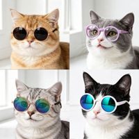 Lunettes pour animaux de compagnie, chiens et chats, design mignon, colorées, différents styles, décoration photographique, lunettes de soleil, protection UV, accessoires pour animaux de compagnie