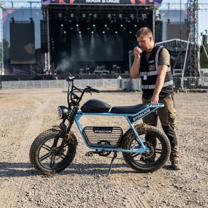 Hydraulische Bremsen Fat Boy E-Bike mit 16Ah Lithium-Akku, Festival-E-Fahrrad für Event-Personal - Product Image 2