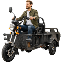 Tricycle électrique 800W, capacité de charge 300 kg, batterie au plomb-acide 60V, mini tricycle électrique de transport, petit et efficace pour le transport