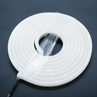 Cuerda de Neón LED Flexible de 5 Metros, DC 12V RGB IP65 60LEDs/M PVC para Decoración de Fondo de Eventos y Bodas