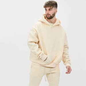 Yüksek kalite 500 GSM pamuk kalın boş düz ağır boy Hoodies hiçbir dize Unisex özel Logo artı boyutu erkek Hoodies - Product Image 5