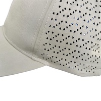 Casquettes de baseball perforées découpées au laser en polyester à séchage rapide et imperméables pour adultes, vente en gros, casquettes de sport de golf vierges en nylon OEM