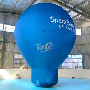 Dev Boyutta Etkinlik Dekorasyonu için Reklam Şişme Sıcak Hava Balonu Modeli, Satış Promosyonu için Şişme Zemin Balonları - Product Image 4