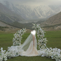 Fleur artificielle en soie blanche faite à la main pour arche de mariage, arche en forme de corne, toile de fond, décoration de mariage