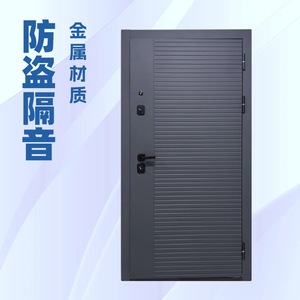 Porte d'entrée en métal Sofia SFR-032, anti-effraction, insonorisée, à ouverture manuelle, porte complète - Product Image 1