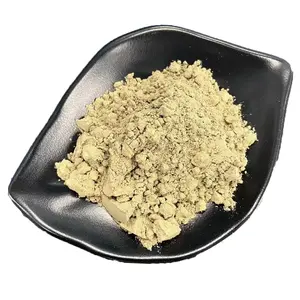 Werkslieferung hochwertiges Loquat-Blätter-Extrakt - Ursolsäure-Pulver 98% CAS 77-52-1 Lebensmittel-Weißpulver Marshmallow-Blätter Wild