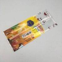 Sac en plastique durable, écologique et recyclable, thermosoudé, pour glaces, sucettes glacées, aliments pour animaux de compagnie, sandwichs glacés, lait, sushis