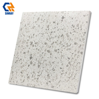 Carreaux de salle de bain modernes en porcelaine à texture de grain de bois rustique, surface mate, antidérapants, antibactériens, épaisseur 9 mm, bordures ACCENTS