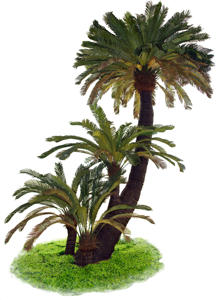 Décoratif extérieur géant 3m/2.5m haute artificielle plantes de jungle <span class=keywords><strong>palmier</strong></span> phoenix en <span class=keywords><strong>pot</strong></span> royal cocotier - Product Image 6