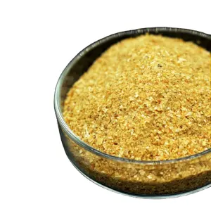 Ngô Vàng nguyên liệu Ngô Gluten thức ăn 18 protein số lượng lớn bán buôn
