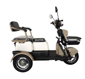 Scooter de Cuatro Ruedas EEC con Tecnología de Sensor, Equilibrio y Practicidad, Alcance de 60-80 km, Velocidad de 21-30 km/h, C18 - Product Image 6