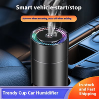 Nébuliseur portatif rechargeable d'humidificateur de voiture sans fil avec la lumière changeante de nuit de sept couleurs pour le bureau à la maison