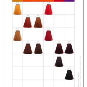 Nuancier de Couleurs de Cheveux Wayward Brand 45 Couleurs Naturelles Noir Brun Foncé - Product Image 4