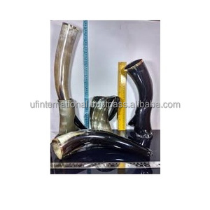 Ntique-cuerno de enjuague con soporte de metal y color natural, pomo de latón de la mejor calidad, tamaño personalizado a mano - Product Image 2