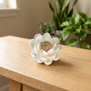 Wholesale Premium White Sola Wood Flowers Eco-Friendly Artificial Dried <b>Reed</b> <b>Diffuser</b> 100% Natural Living Room Home Decor - Product Image 3