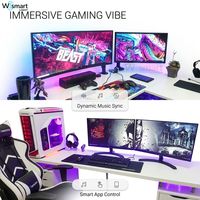 Kit de bande lumineuse LED intelligente flexible WS2812B RGB 12V/24V SMD5050 avec synchronisation musicale Wi-Fi et Bluetooth, ruban à changement de couleur IP20