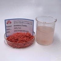 Poudre de fruit de fraise lyophilisée biologique de haute qualité poudre de saveur de fraise poudre de fraise