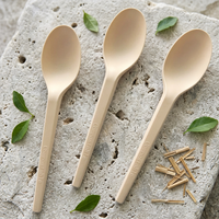 Cuillère à dessert jetable compostable CPLA, écologique, résistante à la chaleur, colorée, à base de plantes, biodégradable, pour les fêtes
