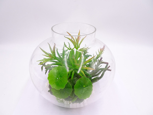 Fiore Succulento Artificiale Moderno <span class=keywords><strong>in</strong></span> <span class=keywords><strong>Vaso</strong></span> di Vetro, Piccola Pianta Succulenta Artificiale - Product Image 5