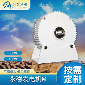 Générateur à aimant permanent 300W 12V 24V portable sans entretien pour usage domestique - Product Image 5