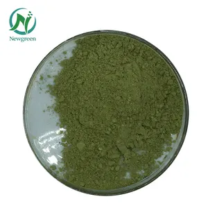 Hot Sale Mulberry Leaf Extract Chlorophyll Powder with Best Price