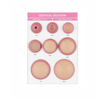 Ensemble de modèles de dilatation cervicale de 8 (base A4), modèle en silicone, modèle d'examen gynécologique, pour usage en laboratoire