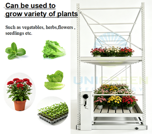 Customized Vertical Indoor Farming Greenhouses Double Layers Growing <b>Rack</b> Ebb and Flow Rolling Benches 4*8FT Hydroponic Grow - Product Image 4