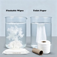 Lingettes humides jetables pour toilettes, parfum frais, à base de plantes, hypoallergéniques, pour adultes, lingettes intimes nettoyantes jetables en gros