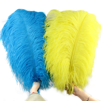 Plumes d'autruche en gros 65-70cm, plumes épaisses pour décoration de mariage, fournitures de fête de Noël, accessoires de couture