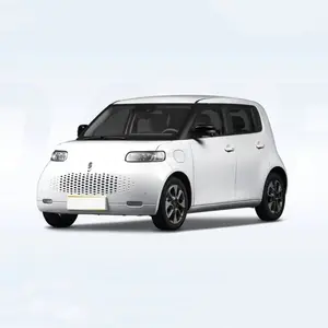 Neumáticos de 16 pulgadas coche eléctrico de carga rápida 2024 año ORA gato blanco con pila de carga de 3,3 kW e imagen de marcha atrás rango NEDC 305Km