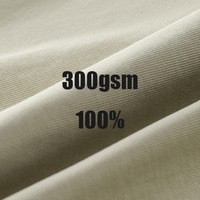 Camisetas al por Mayor de China, Camisetas Personalizadas de 300g, Camisetas Lisas con Hombros Caídos, Camisetas Premium de Algodón Pima