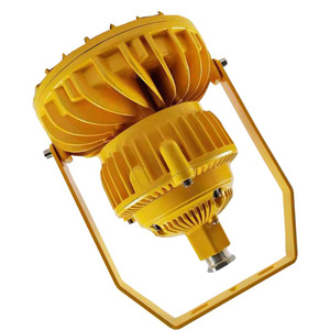 Iluminación a Prueba de Explosiones GBD2900 de 50W IP66 con Conexión de Brida Eléctrica para Áreas de Bombas y Torres - Product Image 4