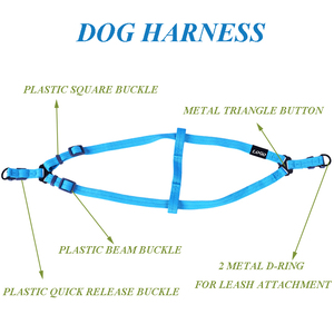 Benutzer definierter Hersteller Großhandel Natürliche umwelt freundliche Hanf Hunde halsband Geschirr mit Leine Set Hunde halsband für kleine mittelgroße Hunde - Product Image 4