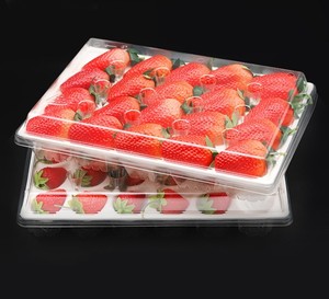 Plástico reciclado de grado alimenticio de fábrica, caja de fresas de 500g, contenedor de embalaje de concha de fruta fresca con orificio de aire - Product Image 3