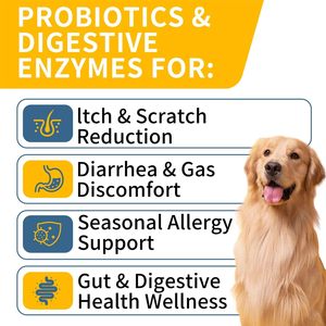 Les probiotiques à mâcher pour chiens de compagnie OEM favorisent les enzymes digestives Les probiotiques pour chiens et les enzymes digestives à mâcher avec des prébiotiques pour la santé intestinale - Product Image 2