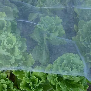 Садовая москитная сетка, прозрачная пластиковая сетка, сетка 20 мм