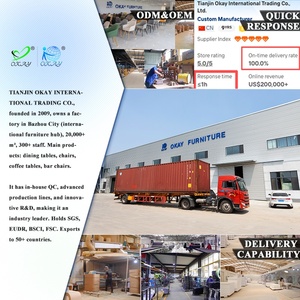 Silla de Bar OKAY, la Mejor Opción, Estilo Moderno y Minimalista, con Reposabrazos, Ligera y de Lujo, Versátil, Ideal para Cafetería, Villa o Casa - Product Image 4