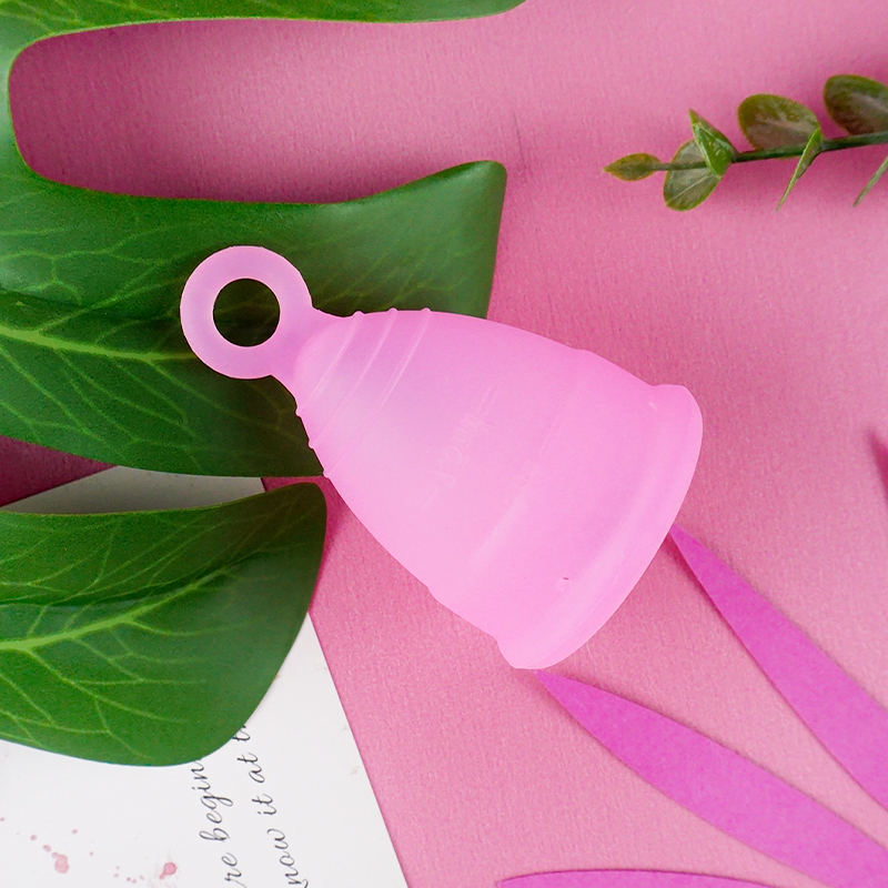 Rosa in sacchetto del opp