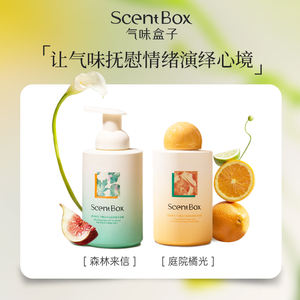 Ensemble cadeau <span class=keywords><strong>de</strong></span> pompe à <span class=keywords><strong>mousse</strong></span> à étiquette privée, gel <span class=keywords><strong>douche</strong></span> hydratant parfumé au citron et à la rose - Product Image 6