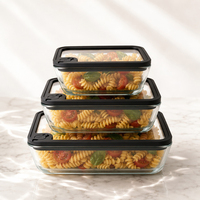 Boîte à lunch empilable en verre borosilicate de haute qualité approuvée par la FDA avec joint anti-fuite, récipient de stockage alimentaire résistant au congélateur pour la maison