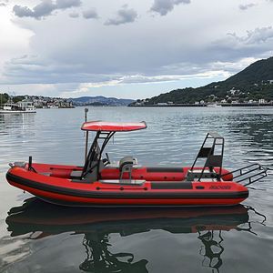 REACHSEA RE650 قارب ضلع صيني قارب قارب ضلع للبيع - Product Image 6