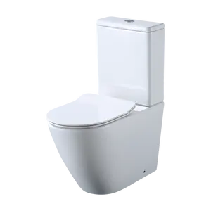 HOT WC de duas peças de banheiro moderno acoplado de cerâmica com descarga sanitária montada no chão