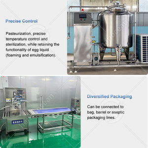 Máquina Homogeneizadora y Pasteurizadora OCEAN, Línea de Procesamiento Automática de Huevo Líquido Pasteurizado - Product Image 5