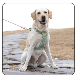 Pettorina per Cani Personalizzata Anti-Soffocamento Imbottita, Fornitura del Produttore, in Tessuto Oxford, Anti-Trazione per Addestramento - Product Image 2