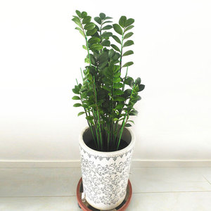 Marco de soporte para plantas de orquídeas, enrejados para plantas, soporte de escalada, maceta para flores, enredadera - Product Image 2