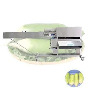 Carrot Peeling Machine Manufacturers Radish Processing Equipment Eggplant Skin Removing Machinery